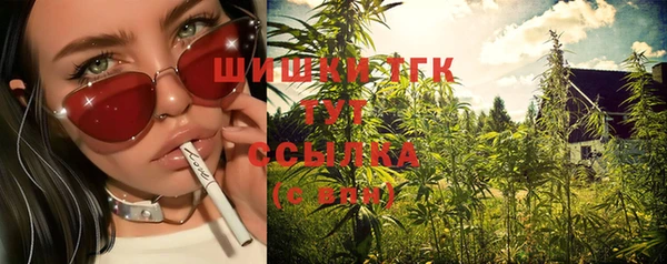 эйфоретик Белокуриха