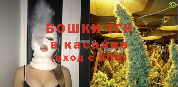 эйфоретик Белокуриха