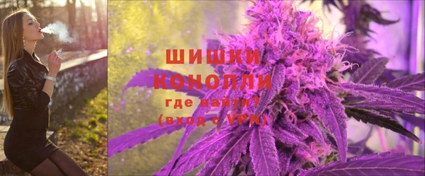 эйфоретик Белокуриха