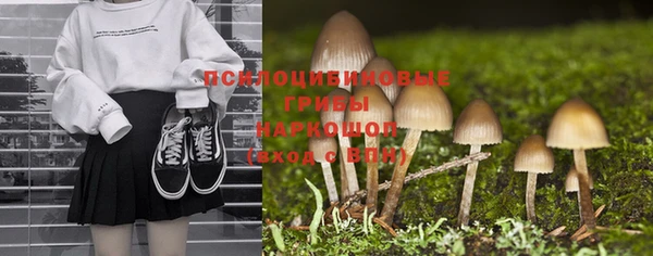 эйфоретик Белокуриха